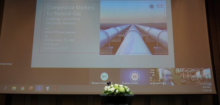 RPBEE Experts Discussed Energy Market Designs