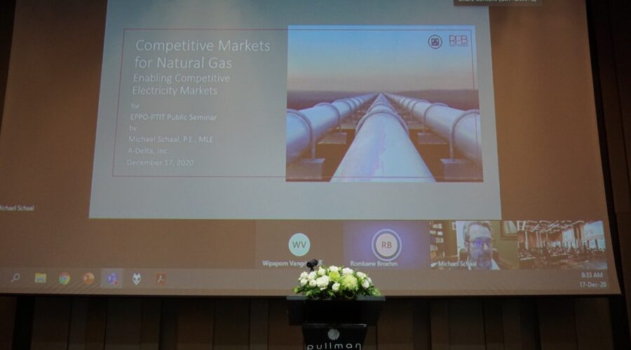 RPBEE Experts Discussed Energy Market Designs